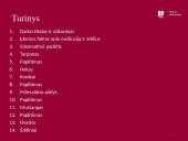 Arklių istorija 2 puslapis