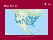 Arklių istorija 14 puslapis