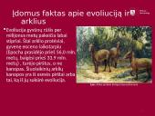 Arklių istorija 4 puslapis