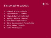 Arklių istorija 5 puslapis