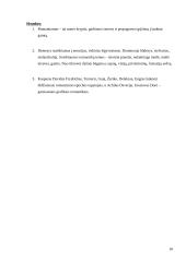 Romantizmo epochos menas 10 puslapis