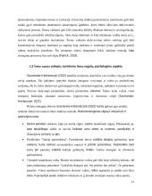 Šokio poveikis fizinę negalią turintiems vaikams ankstyvojoje paauglystėje 10 puslapis