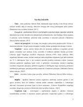 Šokio poveikis fizinę negalią turintiems vaikams ankstyvojoje paauglystėje 3 puslapis