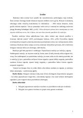 Reakcijos laiko tyrimas 2 puslapis