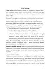 Reakcijos laiko tyrimas 3 puslapis