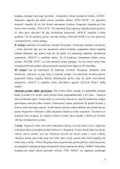 Reakcijos laiko tyrimas 4 puslapis