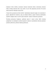 Reakcijos laiko tyrimas 6 puslapis