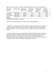 Reakcijos laiko tyrimas 9 puslapis