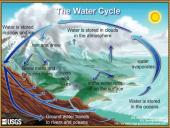 Environmental effects 5 puslapis