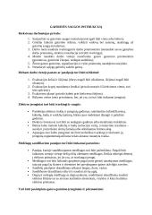 Gaisrinės saugos savarankiškas darbas 2 puslapis