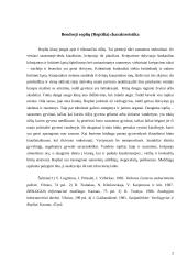 Roplių charakteristika ir klasifikacija 2 puslapis