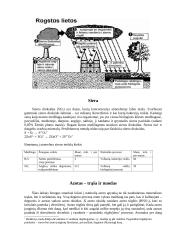 Rūgštūs lietūs, jų kilmė, pasekmės 5 puslapis