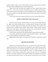 Rūkymas ir žala sveikatai   4 puslapis