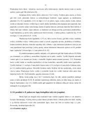 Beržų lapų (betulae folium) arbatų fenolinių junginių ir antioksidantinio aktyvumo tyrimai 9 puslapis