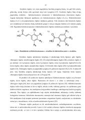 Beržų lapų (betulae folium) arbatų fenolinių junginių ir antioksidantinio aktyvumo tyrimai 10 puslapis