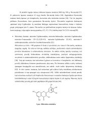 Beržų lapų (betulae folium) arbatų fenolinių junginių ir antioksidantinio aktyvumo tyrimai 12 puslapis