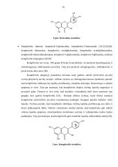 Beržų lapų (betulae folium) arbatų fenolinių junginių ir antioksidantinio aktyvumo tyrimai 14 puslapis