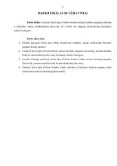 Beržų lapų (betulae folium) arbatų fenolinių junginių ir antioksidantinio aktyvumo tyrimai 7 puslapis