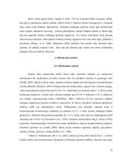 Karpotųjų beržų (betula pendula) sulos kiekių priklausomybė nuo medžių ir gręžinių parametrų 18 puslapis