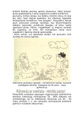 Rūkymas ar sveikata: ką renkiesi? 6 puslapis