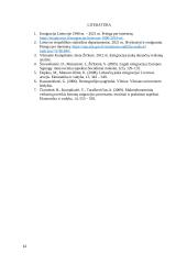 Emigracijos priežastys Lietuvoje 11 puslapis