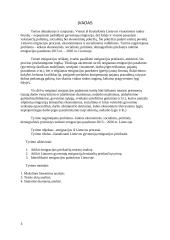 Emigracijos priežastys Lietuvoje 2 puslapis