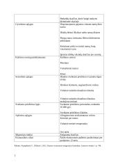 Emigracijos priežastys Lietuvoje 6 puslapis