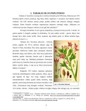 Rūkymas ir visuomenė 4 puslapis