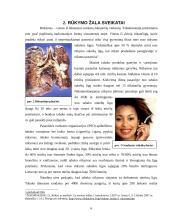 Rūkymas ir visuomenė 6 puslapis