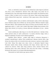 Ruporinės antenos, jų savybės bei taikymas 2 puslapis