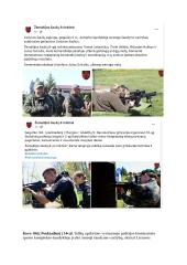 Praktika Žemaitijos šaulių 8-ojoje rinktinėje viešųjų ryšių skyriuje 11 puslapis