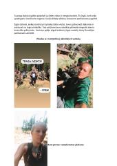 Praktika Žemaitijos šaulių 8-ojoje rinktinėje viešųjų ryšių skyriuje 13 puslapis