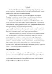 Praktika Žemaitijos šaulių 8-ojoje rinktinėje viešųjų ryšių skyriuje 2 puslapis