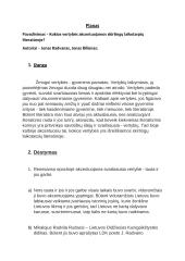 Kokios vertybės akcentuojamos skirtingų laikotarpių literatūroje? Planas