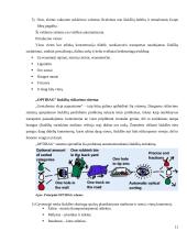Rūšiuojamų buitinių atliekų išvežimo optimizavimo sistema 11 puslapis