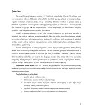 Rūšiuojamų buitinių atliekų išvežimo optimizavimo sistema 3 puslapis