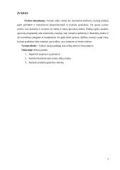 Virtuali stiklo vitrina 2 puslapis