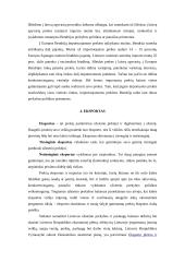 Muitinės procedūra - išleidimas į laisvą apyvartą 2 puslapis