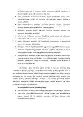 Muitinės procedūra - išleidimas į laisvą apyvartą 15 puslapis