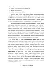 Muitinės procedūra - išleidimas į laisvą apyvartą 6 puslapis