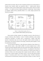 Sandėliavimas 11 puslapis