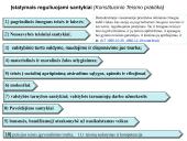 Teisės aktai ir jų rūšys. Skaidrės 10 puslapis