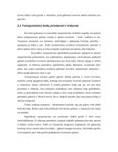 Sandėliavimo įtaka ekspedicijai 8 puslapis