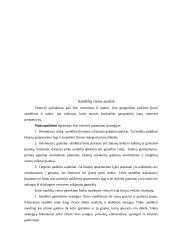 Sandėlio veiklos organizavimas 13 puslapis