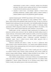 Sandėlio veiklos organizavimas 18 puslapis