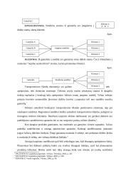 Sandėlio veiklos organizavimas 4 puslapis
