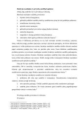 Sandėlio veiklos organizavimas 8 puslapis