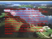 Lietuvių liaudies muzika (skaidrės) 2 puslapis