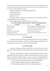 Sandėlių įrengimas 11 puslapis