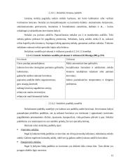 Sandėlių įrengimas 12 puslapis